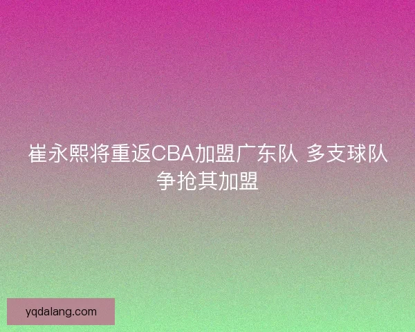 崔永熙将重返CBA加盟广东队 多支球队争抢其加盟